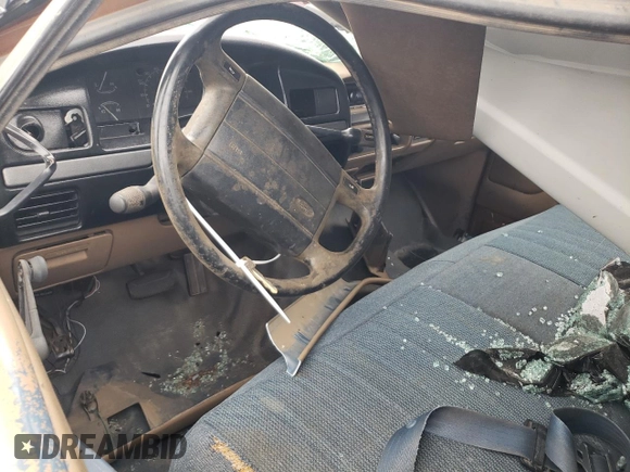 1994 Ford F-150 with VIN 2FTEF15N4RCA56009, listed as a Copart auction lot 45387595 with 0 mi miles and Salvage Title. Bid and sale history available at carsss.com. Image 8.