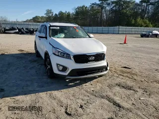 2016 Kia Sorento EX with VIN 5XYPHDA16GG137051, listed as a Copart auction lot 45541995 with 0 mi miles and Salvage Title. Bid and sale history available at carsss.com. Image 11.