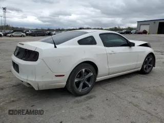 2013 Ford Mustang V6 with VIN 1ZVBP8AM4D5262212, listed as a Copart auction lot 51121685 with Not Provided miles and Salvage Title. Bid and sale history available at carsss.com. Image 3.