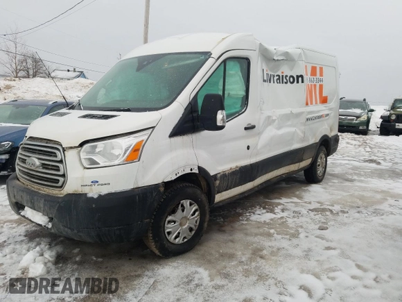2019 Ford Transit with VIN 1FTYR2CM5KKA90031, listed as a Copart auction lot 48187835 with 175,241 mi miles and Salvage Title. Bid and sale history available at DreamBid. Image 1.