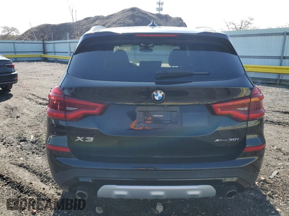 2020 BMW X3 xDrive30i with VIN 5UXTY5C09LLT37671, listed as a Copart auction lot 51134225 with 53,044 mi miles and Salvage Title. Bid and sale history available at DreamBid. Image 6.