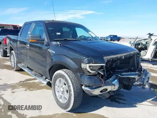 2010 Ford F-150 XL с VIN 1FTEW1E87AFC49449, выставлен на аукционе IAAI как лот 41312515 с пробегом 226 355 миль миль и . История ставок и продаж доступна на DreamBid. Изображение 1.