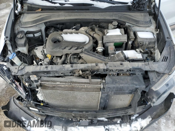 2020 Hyundai Santa Fe Limited with VIN 5NMS5CAA3LH174698, listed as a Copart auction lot 45596365 with 58,338 mi miles and Salvage Title. Bid and sale history available at carsss.com. Image 12.