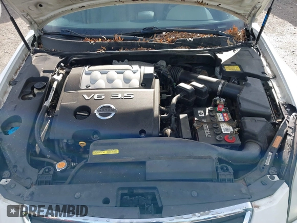 2007 Nissan Maxima 3.5 SE with VIN 1N4BA41E57C821830, listed as a IAAI auction lot 41609251 with 232,052 mi miles. Bid and sale history available at carsss.com. Image 10.