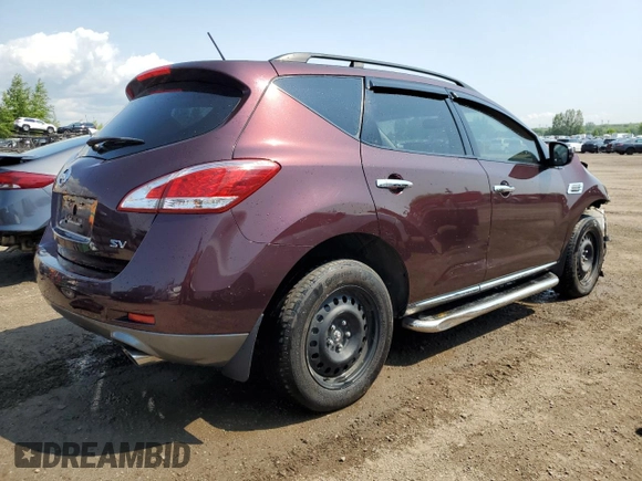 2013 Nissan Murano S with VIN JN8AZ1MW6DW306318, listed as a Copart auction lot 58636755 with 173,497 mi miles and Salvage title. Bid and sale history available at DreamBid. Image 3.