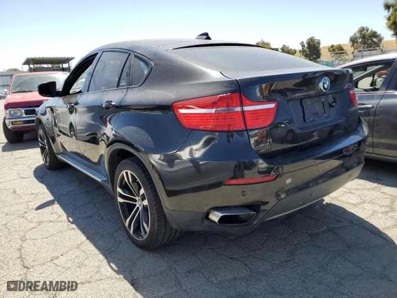 2011 BMW X6 50i with VIN 5UXFG8C55BLZ96648, listed as a Copart auction lot 56528574 with 134,321 mi miles and Salvage Title. Bid and sale history available at carsss.com. Image 2.