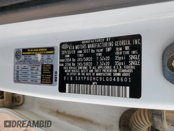 2020 Kia Telluride S with VIN 5XYP6DHC9LG048601, listed as a Copart auction lot 50270115 with 105,881 mi miles and Salvage title. Bid and sale history available at DreamBid. Image 13.