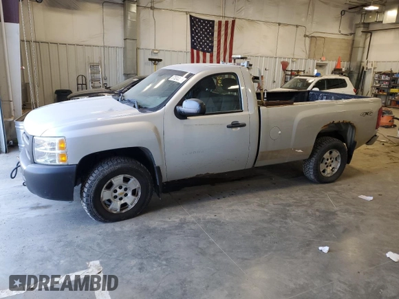 2012 Chevrolet Silverado 1500 Work Truck with VIN 1GCNKPE06CZ207946, listed as a Copart auction lot 87824355 with 134,000 mi miles and Clean Title. Bid and sale history available at DreamBid. Image 1.