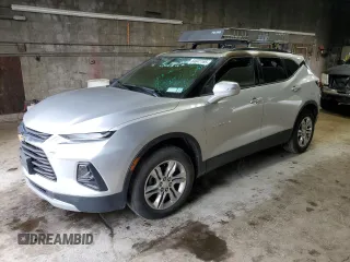2019 Chevrolet Blazer with VIN 3GNKBGRS9KS596406, listed as a Copart auction lot 64641185 with Not provided miles and Salvage title. Bid and sale history available at DreamBid. Image 1.