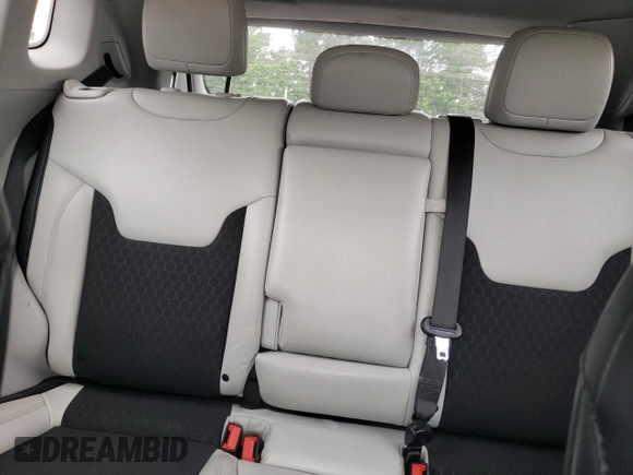 2020 Jeep Compass Latitude with VIN 3C4NJCBB4LT162062, listed as a Copart auction lot 60978885 with Not provided miles and Salvage title. Bid and sale history available at DreamBid. Image 10.