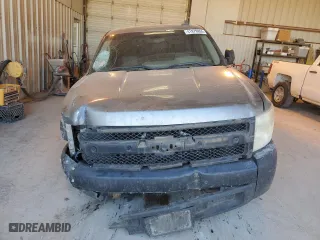 2008 Chevrolet Silverado 1500 Work Truck with VIN 1GCEC19C68Z199532, listed as a Copart auction lot 41879855 with 307,442 mi miles and Salvage Title. Bid and sale history available at carsss.com. Image 5.
