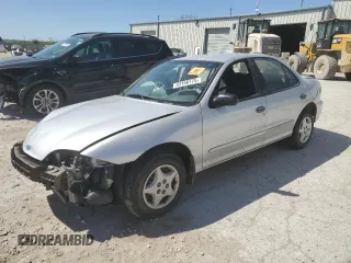 2002 Chevrolet Cavalier with VIN 1G1JC524027259941, listed as a Copart auction lot 53156775 with Not provided miles and Salvage title. Bid and sale history available at DreamBid. Image 1.