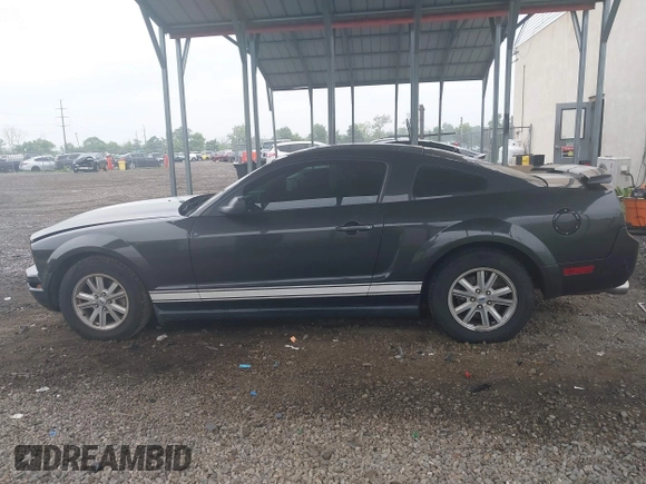 2007 Ford Mustang Deluxe with VIN 1ZVFT80N175365857, listed as a IAAI auction lot 42512673 with 136,145 mi miles and . Bid and sale history available at DreamBid. Image 15.