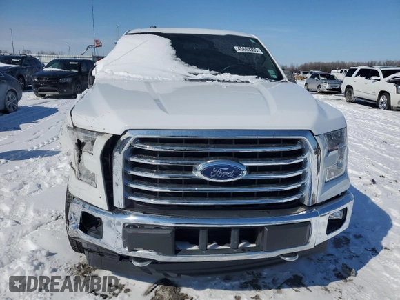 2017 Ford F-150 XL with VIN 1FTFW1EG5HKC90885, listed as a Copart auction lot 45663355 with 206,276 mi miles and Salvage Title. Bid and sale history available at carsss.com. Image 5.
