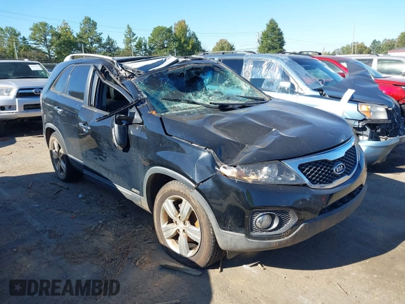 2013 Kia Sorento EX with VIN 5XYKUDA22DG412022, listed as a IAAI auction lot 40567674 with 177,189 mi miles. Bid and sale history available at carsss.com. Image 1.