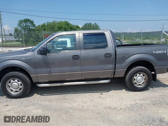 2010 Ford F-150 XL with VIN 1FTEW1E87AFD69672, listed as a IAAI auction lot 42590920 with 117,126 mi miles and . Bid and sale history available at DreamBid. Image 14.