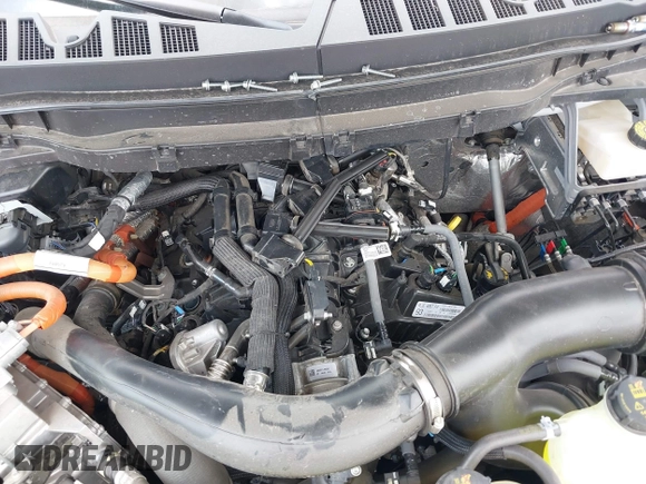 2024 Ford F-150 with VIN 1FTFW7LD1RFB88697, listed as a IAAI auction lot 42143029 with 6,996 mi miles and . Bid and sale history available at DreamBid. Image 10.