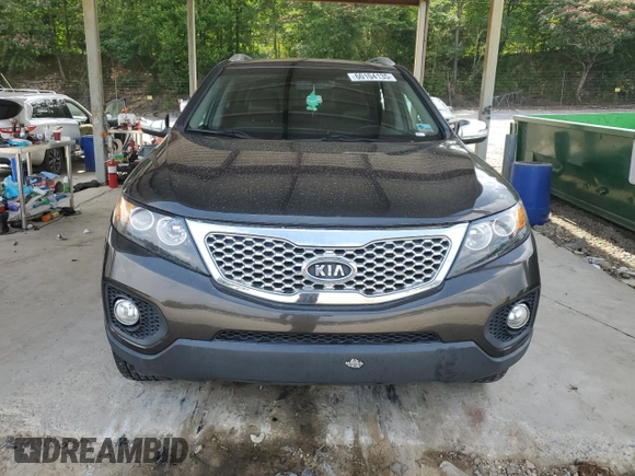 2011 Kia Sorento EX with VIN 5XYKU3A11BG134695, listed as a Copart auction lot 60104135 with 227,552 mi miles and Salvage title. Bid and sale history available at DreamBid. Image 5.