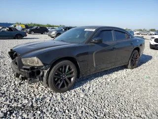 2014 Dodge Charger Police with VIN 2C3CDXAG9EH263570, listed as a Copart auction lot 54669165 with 133,636 mi miles and Salvage title. Bid and sale history available at DreamBid. Image 1.