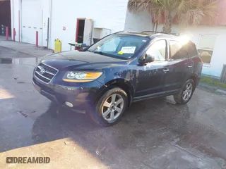 2009 Hyundai Santa Fe SE with VIN 5NMSH13E69H234946, listed as a IAAI auction lot 41876967 with 182,437 mi miles. Bid and sale history available at carsss.com. Image 2.