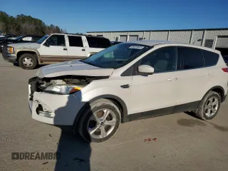 2013 Ford Escape SE with VIN 1FMCU0G99DUD32194, listed as a Copart auction lot 89359645 with 117,912 mi miles and Salvage Title. Bid and sale history available at carsss.com. Image 1.