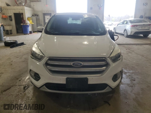 2017 Ford Escape SE with VIN 1FMCU0GD5HUD28394, listed as a Copart auction lot 52079995 with 120,223 mi miles and Salvage Title. Bid and sale history available at DreamBid. Image 5.