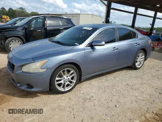 2010 Nissan Maxima 3.5 SV with VIN 1N4AA5AP3AC842590, listed as a Copart auction lot 51709795 with 259,265 mi miles and Salvage Title. Bid and sale history available at carsss.com. Image 1.