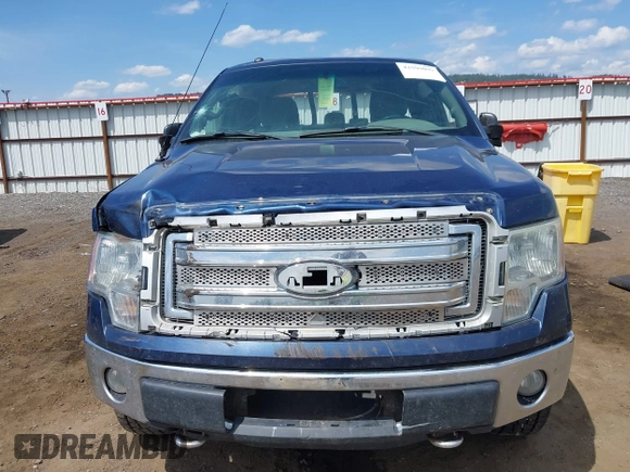2013 Ford F-150 XL with VIN 1FTFX1EF6DFB32742, listed as a IAAI auction lot 42599093 with 166,933 mi miles and . Bid and sale history available at DreamBid. Image 12.