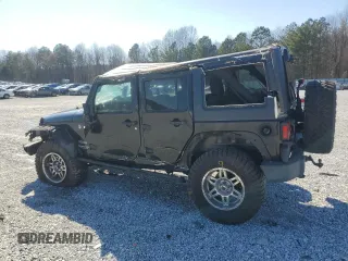 2014 Jeep Wrangler Unlimited Sport with VIN 1C4BJWDG9EL250326, listed as a Copart auction lot 48545705 with 247,460 mi miles and Salvage Title. Bid and sale history available at DreamBid. Image 2.
