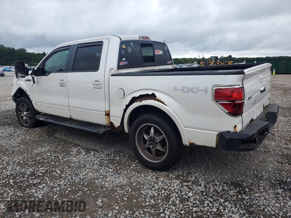 2010 Ford F-150 XL with VIN 1FTFW1EV3AFB31716, listed as a Copart auction lot 61506375 with 286,144 mi miles and Clean title. Bid and sale history available at DreamBid. Image 2.