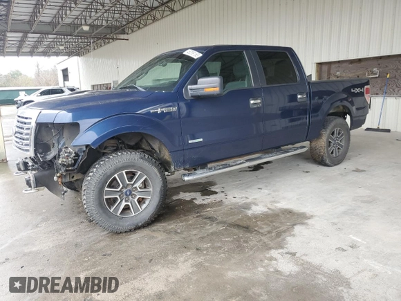 2011 Ford F-150 XLT with VIN 1FTFW1ET2BFB81443, listed as a Copart auction lot 46299165 with 250,287 mi miles and Salvage Title. Bid and sale history available at carsss.com. Image 1.