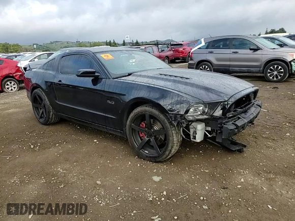 2013 Ford Mustang GT with VIN 1ZVBP8CF9D5284530, listed as a Copart auction lot 50451975 with 122,735 mi miles and Salvage Title. Bid and sale history available at DreamBid. Image 10.