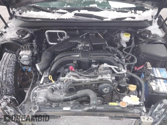 2019 Subaru Legacy Premium with VIN 4S3BNAF61K3010176, listed as a IAAI auction lot 41592812 with 58,021 mi miles and . Bid and sale history available at DreamBid. Image 10.