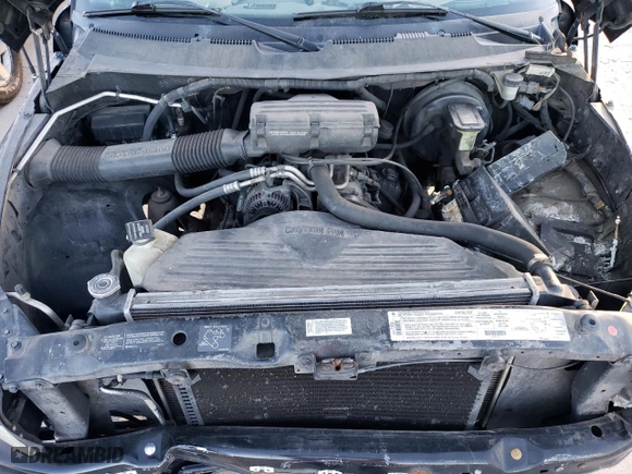 1996 Dodge Ram 1500 with VIN 1B7HF16Y0TS572294, listed as a Copart auction lot 82602294 with 199,174 mi miles and Salvage Title. Bid and sale history available at carsss.com. Image 13.