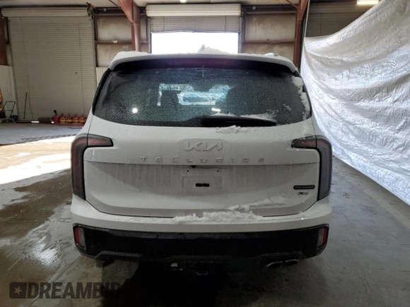 2024 Kia Telluride SX Prestige X-Line с VIN 5XYP5DGC3RG483384, выставлен на аукционе Copart как лот 41913045 с пробегом 13 462 миль миль и Списание • Salvage title. История ставок и продаж доступна на DreamBid. Изображение 6.