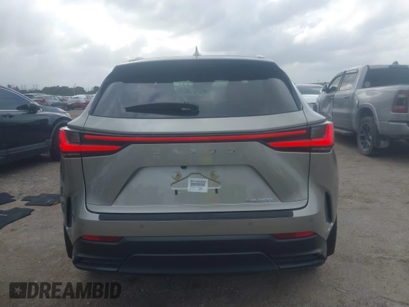 2025 Lexus NX 250 with VIN 2T2ADCAZ4SC024801, listed as a IAAI auction lot 41727939 with 77 mi miles and . Bid and sale history available at DreamBid. Image 17.