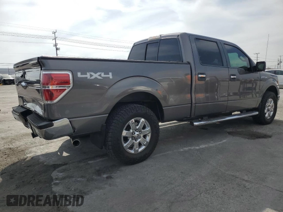 2013 Ford F-150 XL with VIN 1FTFW1EF5DFD98000, listed as a Copart auction lot 53516905 with 292,000 mi miles and Salvage title. Bid and sale history available at DreamBid. Image 3.