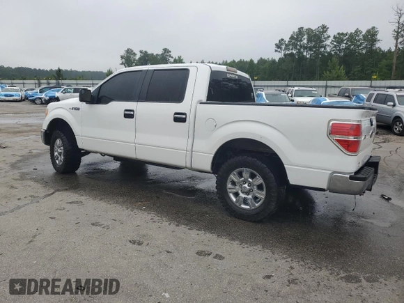 2011 Ford F-150 XL with VIN 1FTFW1CF5BFD20767, listed as a Copart auction lot 58480325 with 249,826 mi miles and Salvage title. Bid and sale history available at DreamBid. Image 2.