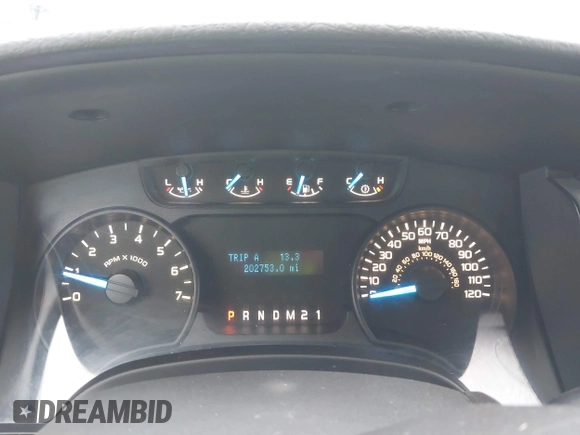 2014 Ford F-150 XL with VIN 1FTEX1CM8EFA95014, listed as a IAAI auction lot 41743068 with 202,753 mi miles and . Bid and sale history available at DreamBid. Image 7.