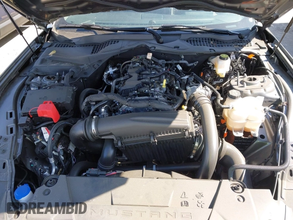 2024 Ford Mustang EcoBoost with VIN 1FA6P8THXR5110680, listed as a IAAI auction lot 42598400 with 21,221 mi miles and . Bid and sale history available at DreamBid. Image 10.