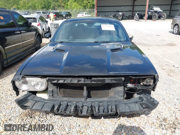 2014 Dodge Challenger R/T Plus z VIN 2C3CDYBT1EH201887, wystawiony jako IAAI lot #42225211 z przebiegiem 278 574 mil mil oraz . Historia ofert i sprzedaży dostępna na DreamBid. Obrazek 6.