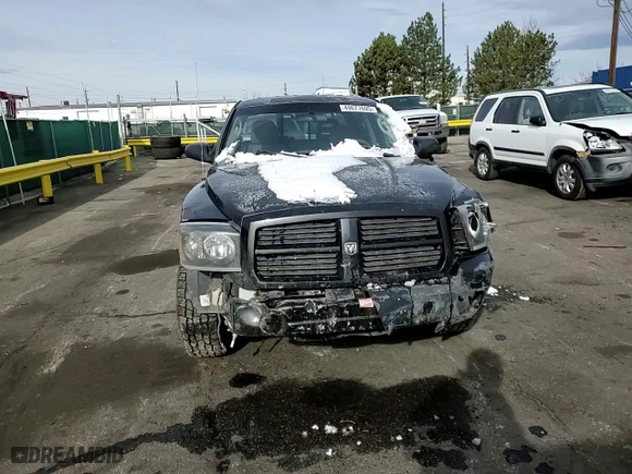 2006 Dodge Dakota SLT with VIN 1D7HW48N66S716560, listed as a Copart auction lot 49677695 with 163,717 mi miles and Salvage Title. Bid and sale history available at carsss.com. Image 11.