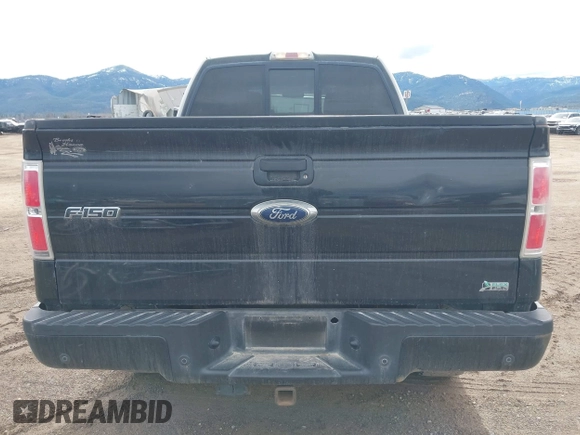 2010 Ford F-150 XL with VIN 1FTFW1EV2AKC53345, listed as a IAAI auction lot 41925086 with 218,833 mi miles and . Bid and sale history available at DreamBid. Image 16.