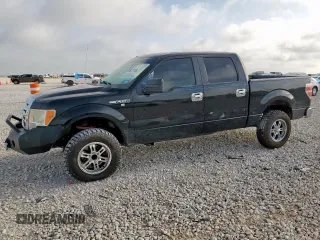 2009 Ford F-150 XL with VIN 1FTRW128X9FA10978, listed as a Copart auction lot 61677715 with 326,348 mi miles and Salvage title. Bid and sale history available at DreamBid. Image 1.