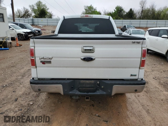 2010 Ford F-150 XL with VIN 1FTFW1CVXAFC29578, listed as a Copart auction lot 50214125 with 203,410 mi miles and Salvage Title. Bid and sale history available at carsss.com. Image 6.