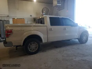 2010 Ford F-150 XL with VIN 1FTFW1EV7AFB22520, listed as a Copart auction lot 49154405 with 203,472 mi miles and Salvage Title. Bid and sale history available at carsss.com. Image 3.