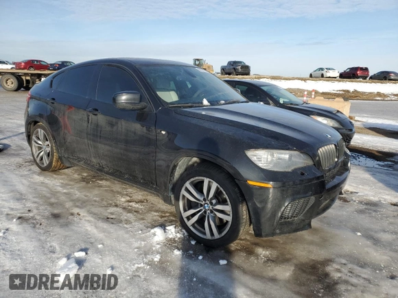 2010 BMW X6 M with VIN 5YMGZ0C57ALK13322, listed as a Copart auction lot 84522144 with 166,677 mi miles and Clean Title. Bid and sale history available at carsss.com. Image 4.
