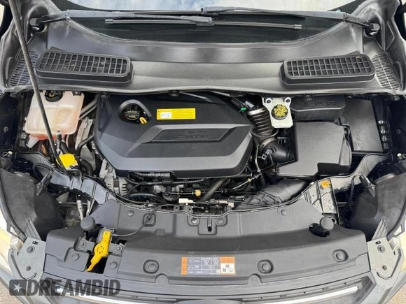 2016 Ford Escape SE with VIN 1FMCU0GX4GUC35892, listed as a Copart auction lot 49188655 with 55,768 mi miles and Non Repairable. Bid and sale history available at carsss.com. Image 14.