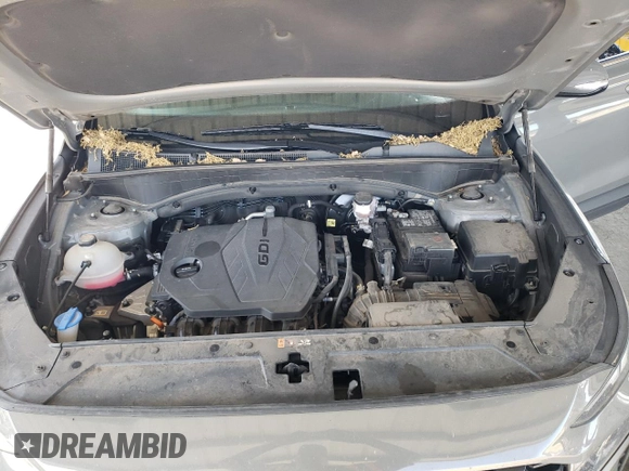 2023 Hyundai Santa Fe SEL with VIN 5NMS2DAJXPH539172, listed as a Copart auction lot 53161285 with 42,646 mi miles and Salvage Title. Bid and sale history available at DreamBid. Image 11.