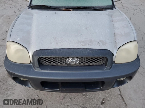 2003 Hyundai Santa Fe LX with VIN KM8SC73E63U536654, listed as a Copart auction lot 76224694 with 191,977 mi miles and Salvage Title. Bid and sale history available at carsss.com. Image 13.